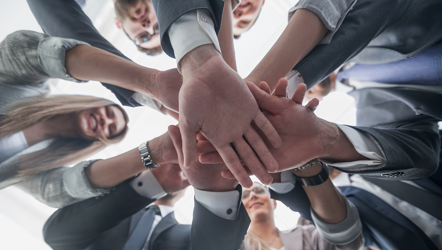 team001 https://twojzielonytarg.dkonto.pl/wp-content/uploads/2025/12/team001.jpg